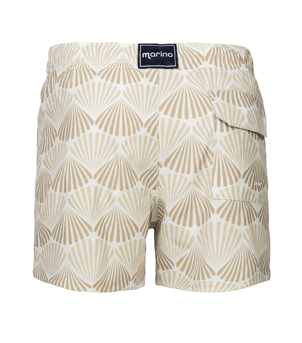 Beige Shells