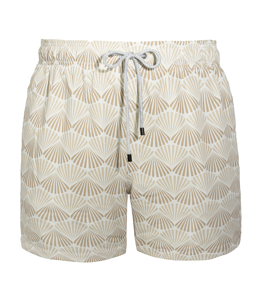 Beige Shells