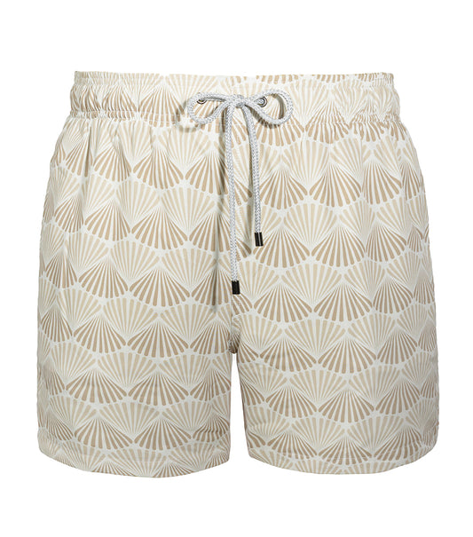 Beige Shells