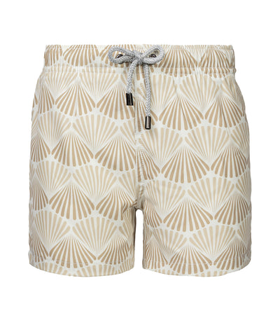 Beige Shells